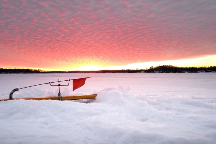 Oregon, WI Real Estate and Homes for Sale